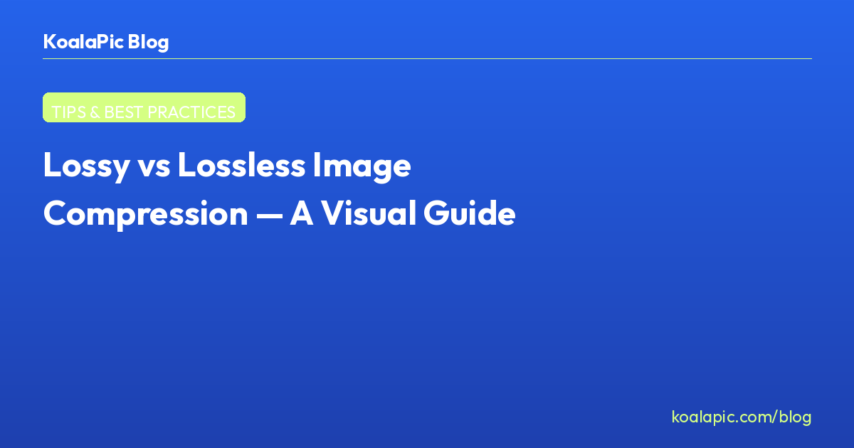 Lossy vs Lossless Image Compression — A Visual Guide — Universal Image ...